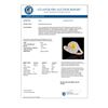 Image 3 : 1.86 CTW Certified Si/I Fancy Intense Yellow Diamond Solitaire Halo Ring 10K Rose Gold - REF-245M5H 