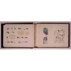 LeBaDang (b. 1922) Vietnamese/French, LES CHEVAUX, 1968, portfolio of 27 lithographs, etchings,...