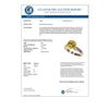 Image 3 : 2.50 CTW Certified Intense Yellow SI Diamond Solitaire Ring 10K Rose Gold - REF-579M2H - 33048