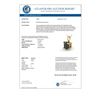 Image 3 : 2.0 CTW Black VS/SI Diamond Designer Necklace 18K Yellow Gold - REF-70W9F - 32368