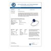 Image 2 : 1.04 CTW Blue Sapphire & Diamond Ring 18K White Gold - REF-41W8F - 12360
