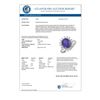 Image 2 : 3.05 CTW Tanzanite & Diamond Ring 18K White Gold - REF-121H6A - 13802