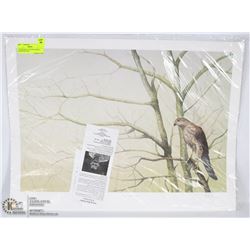 "YOUNG BLUE DARTER" SIGNED AND #'D PRINT