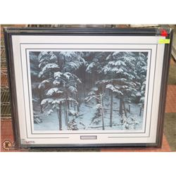 6) DESCENDING SHADOWS TIMBER WOLVES BY ROBERT