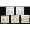 Image 2 : 2014 RCM 5 COIN SET OF MAPLE LEAF INCL 3 SILVER
