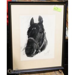 FRAMED PICTURE OF HORSE- GEORGE ROYAL 1967