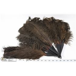 ANTIQUE BLACK OSTRICH FEATHER HAND FAN