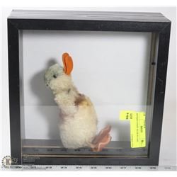 ANTIQUE STEIFF DUCK IN CASE.