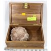 Image 1 : CAPROLITE (DINOSAUR POOP)  IN WOODEN BOX.