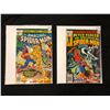 Image 1 : THE AMAZING SPIDER-MAN COMIC BOOK LOT (#173, 22) MARVEL COMICS