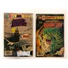 Image 1 : CHARLETON COMIC BOOK LOT (GHOST MANOR #33, HAUNTED LIBRARY #32)