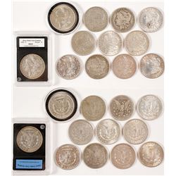 Dozen Morgan Dollars