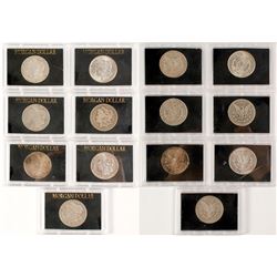 Seven Morgan Dollars