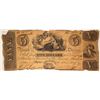 Image 1 : $5 Bank of Darien Note