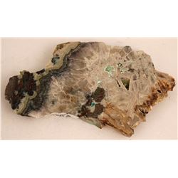 Bullfrog Gold Silver mine