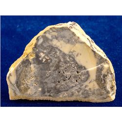 Gold and Silver Specimen from Como, Nevada