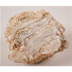 Hollister Gold-Silver Mine