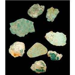 Fox Mine Turquoise