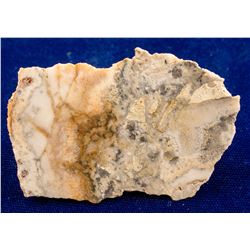 Elko Prince Mine, Midas, Nevada Specimen