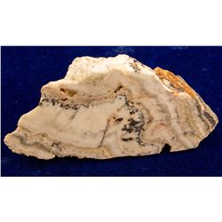 Elko Prince Mine, Midas, Nevada Specimen