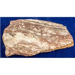 Miners Gold Mine Specimen