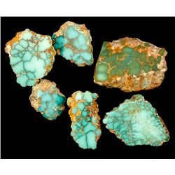 Spiderweb Matrix Turquoise