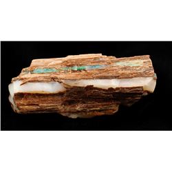 Opalized Wood