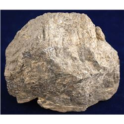 Deer Trail Gold-Silver-Base Metal Mine