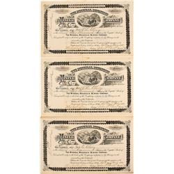 Mineral Mountain Mining Stocks (3)