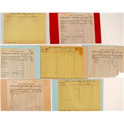 Yellow Aster Mine Labor Reports (7)