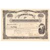 Image 1 : The Cornucopia Silver Mining Company Stock Certificate, Mt. Princeton, CO 1882