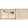 Image 1 : Red Elephant Mining Company Stock Certificate, Clear Creek Co, Colorado, 1881