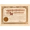 Image 1 : The Cripple Creek Consolidated Mining Company Stock Certificate, 1905