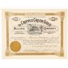 Image 1 : The Cripple Creek Gold Milling Co. Stock Certificate, 1894