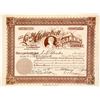Image 1 : The Lady Campbell Gold Mining Co. Stock Certificate, Cripple Creek, CO, 1902