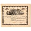 Image 1 : The Wilson Creek Consolidated Mining & Milling Co. Stock Certificate, Cripple Creek, 1900