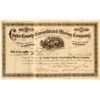 Image 1 : Custer County Consolidated Mining Company Stock Certificate, 1879