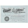 Image 1 : The Colorado Mines Consolidated Co. Stock Certificate, Suckerville, CO 1902