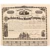 Image 1 : Extra Rare Baker Silver Mining Company Bond