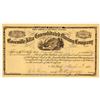 Image 1 : Roseville Alta Consolidated Mining Co. Stock Certificate, Lake County, CO, 1881