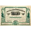 Image 1 : Amie Consolidated Mining Co. Stock Certificate, Leadville, Colorado, 1880