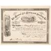 Image 1 : Mineral Hill Mining & Smelting Co. of Summit County, Colorado, Stock Certificate, 1882