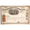 Image 1 : Acworth Gold Mining and Smelting Company Stock Certificate