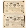 Image 1 : Great Pair of Consolidated Gold Mining Company Stock Certificates