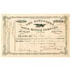 Image 1 : Rare Green on White Dahlonega Gold Mining Company Stock Certificate