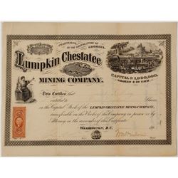 Lumpkin Chestatee Mining Company Stock Certificate