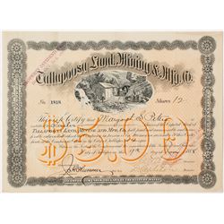 Tallapoosa Land, Mining & Mfg. Co. Stock Certificate