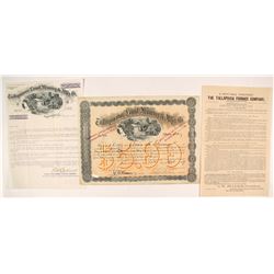 Tallapoosa Land, Mining & Mfg. Co. Stock Certificate with a Twist