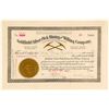 Image 1 : Goldfield-Silver Pick Mining & Milling Co. Stock Certificate, 1906