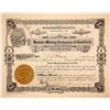 Image 1 : Number 1 stock for 300,000 shares for the Banner Mining Company of Goldfield